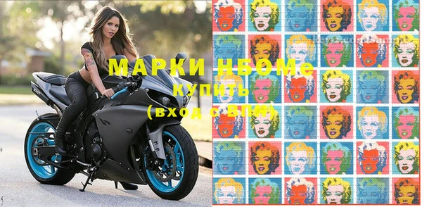 молекула духа Краснослободск